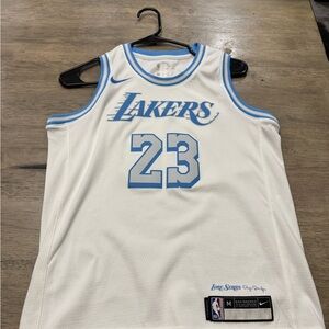 Lebron James Nike White and Blue Basketball Jersey